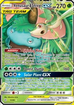 Venusaur & Snivy GX (CEC 1)